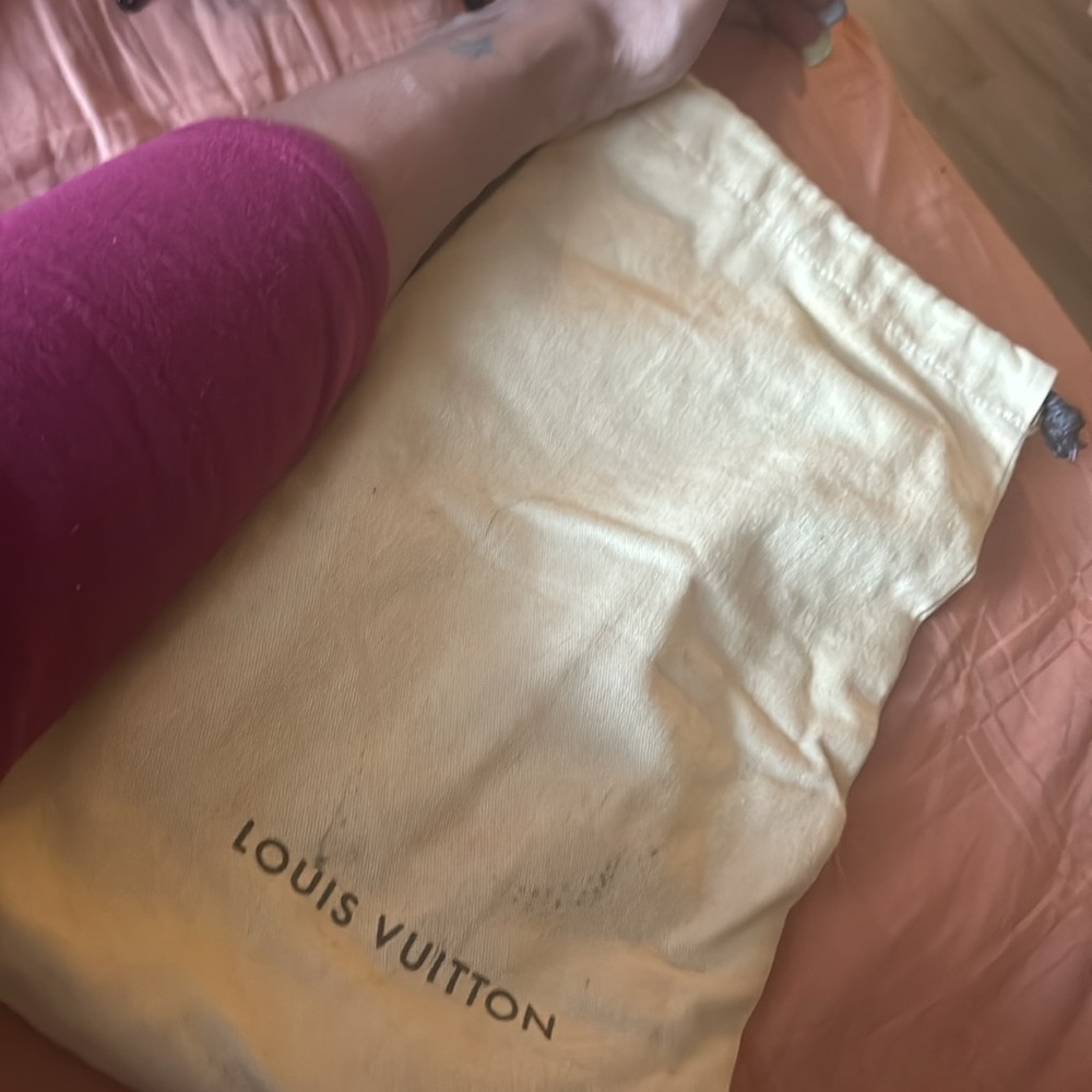 Louis Vuitton, dust bag for shoes or a bag authentic storage bag - Picture 7 of 7